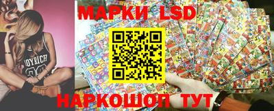 прущие грибы Будённовск