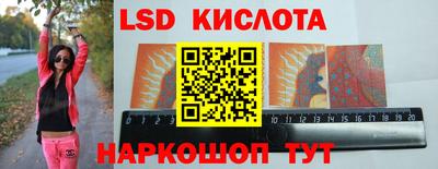 прущие грибы Будённовск