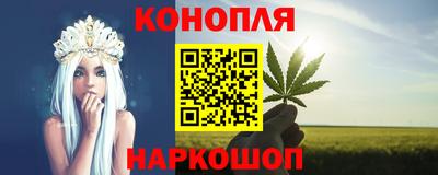 прущие грибы Будённовск